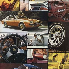 1977_Chevrolet_Monza-03