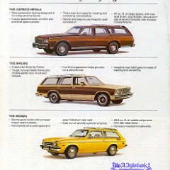 1979_Chevrolet_Wagons-13