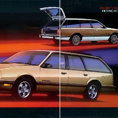 1985_Chevrolet_Celebrity-08