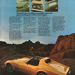 1971_Chevrolet_Corvette-11