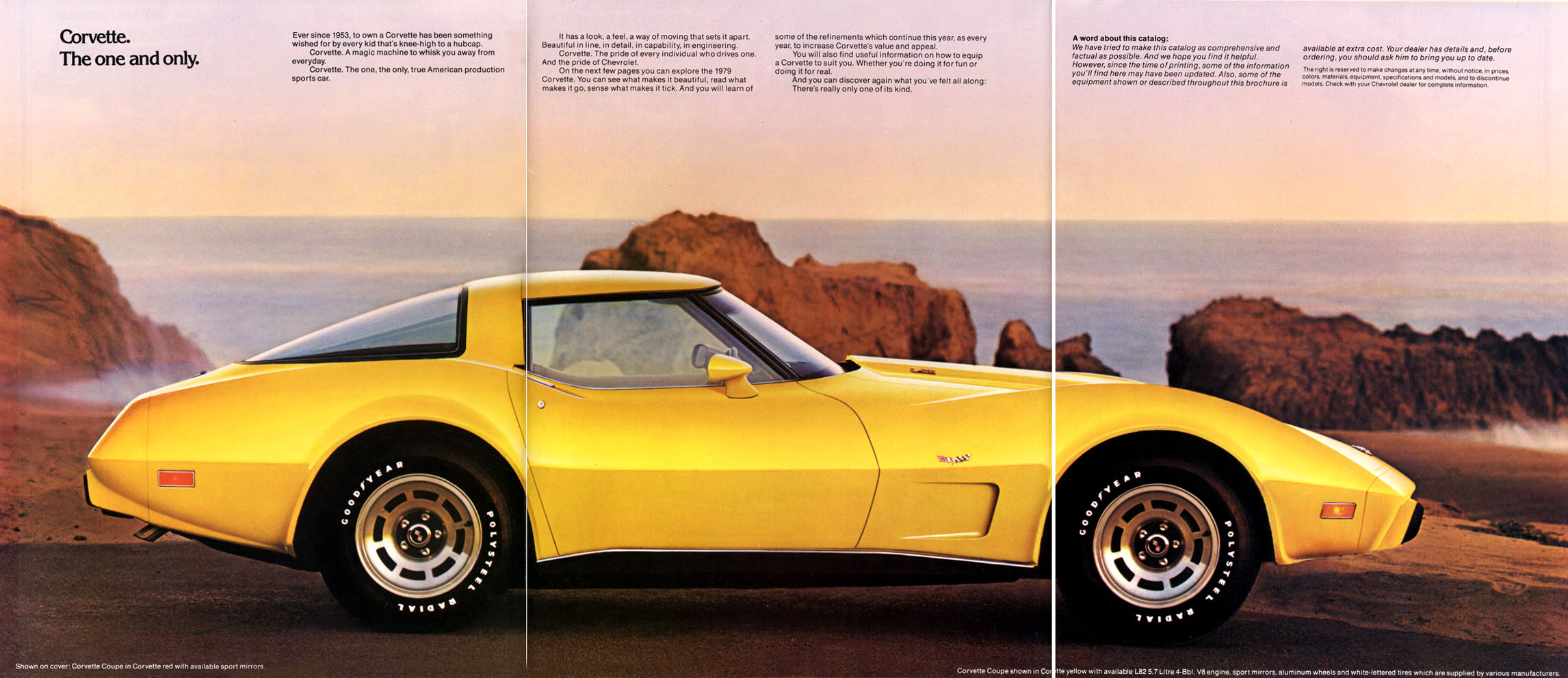 1979_Chevrolet_Corvette-02