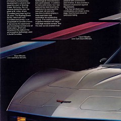 1981_Chevrolet_Corvette-04