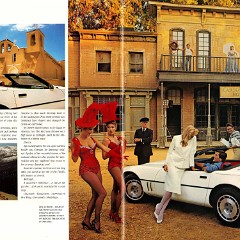 1987_Chevrolet_Corvette_Prestige-13-14