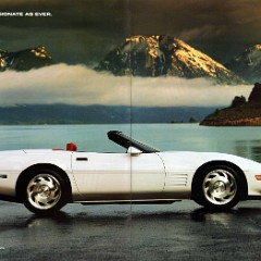 1993_Chevrolet_Corvette_Prestige-14-15