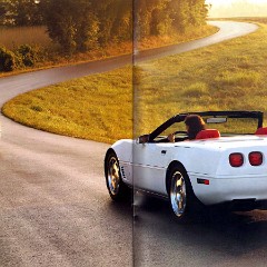 1995_Chevrolet_Corvette_Prestige-38-39