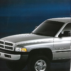 2001 Dodge Ram Pickup-20