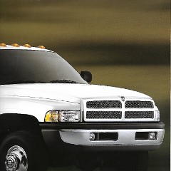 2001 Dodge Ram Pickup-29