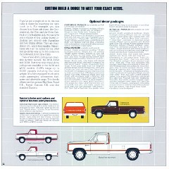 1981_Dodge_Pickups-11