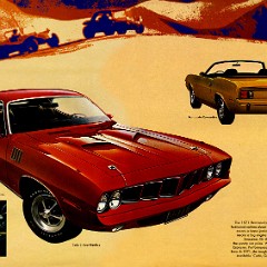 1971 Chrysler-Plymouth Brochure-06-07