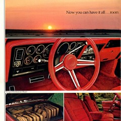 1979 Chrysler Newport-04