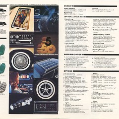 1980 Chrysler LeBaron-10-11