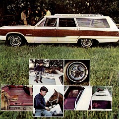 1968_Dodge_Full_Line-12