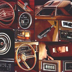 1978_Dodge_Diplomat-10