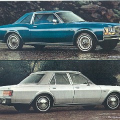 1978_Dodge_Diplomat-a06