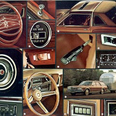 1978_Dodge_Diplomat-a10