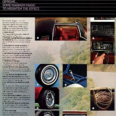 1979_Dodge_Magnum_XE-06