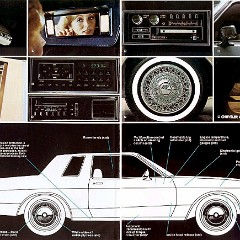 1980_Dodge_Diplomat-08-09