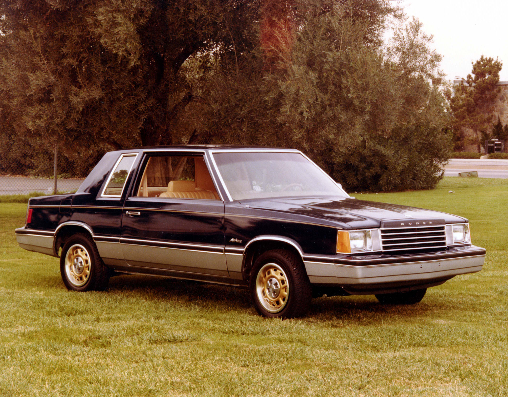 1982_Dodge