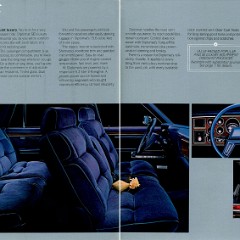 1986_Dodge_Diplomat-04-05