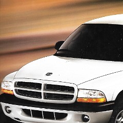 2001 Dodge Dakota-14