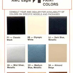 1985_AMC_Eagle_Color_Chart-01