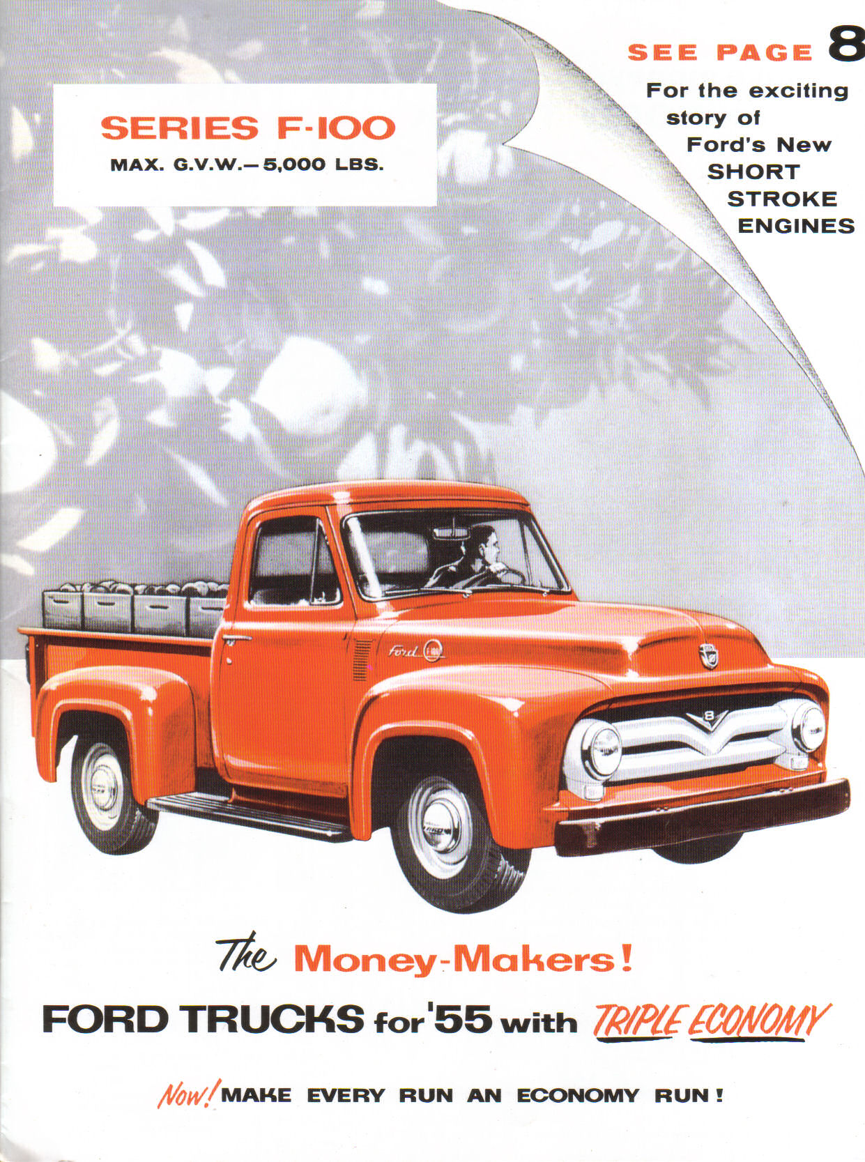 1955_Ford_F-100-01
