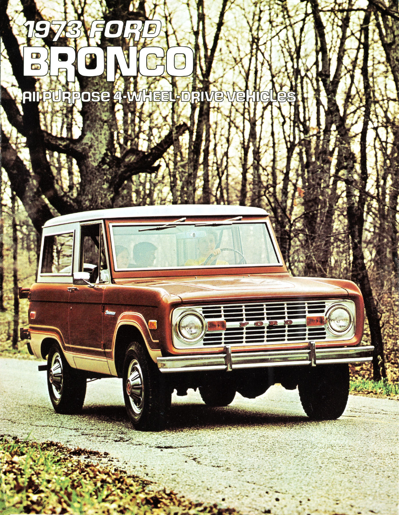 1973 Ford Bronco-01