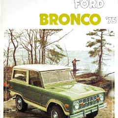 1975 Ford Bronco-01