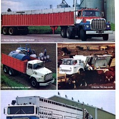1975 Ford Farm Trucks-10