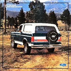 1987 Ford Bronco-18