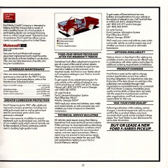 1987_Ford_F-Series_Pickup-23