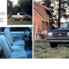 1991 Ford Trucks-02-03