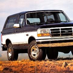 1993 Ford Bronco-02-03