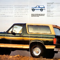 1993 Ford Bronco-06-07