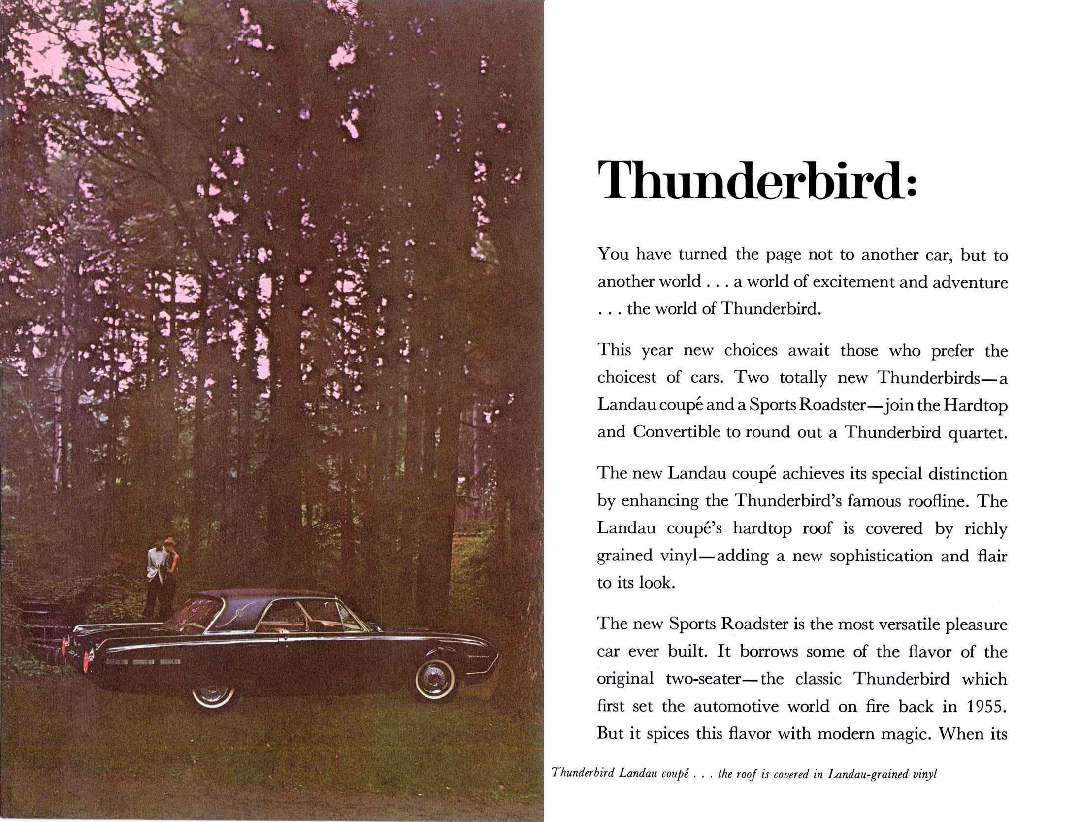 1962_Ford_Newsletter_Supplement-12