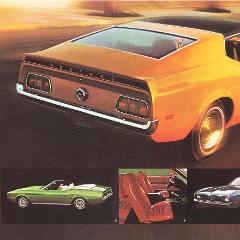 1971_Ford_Sports_Set-08-09