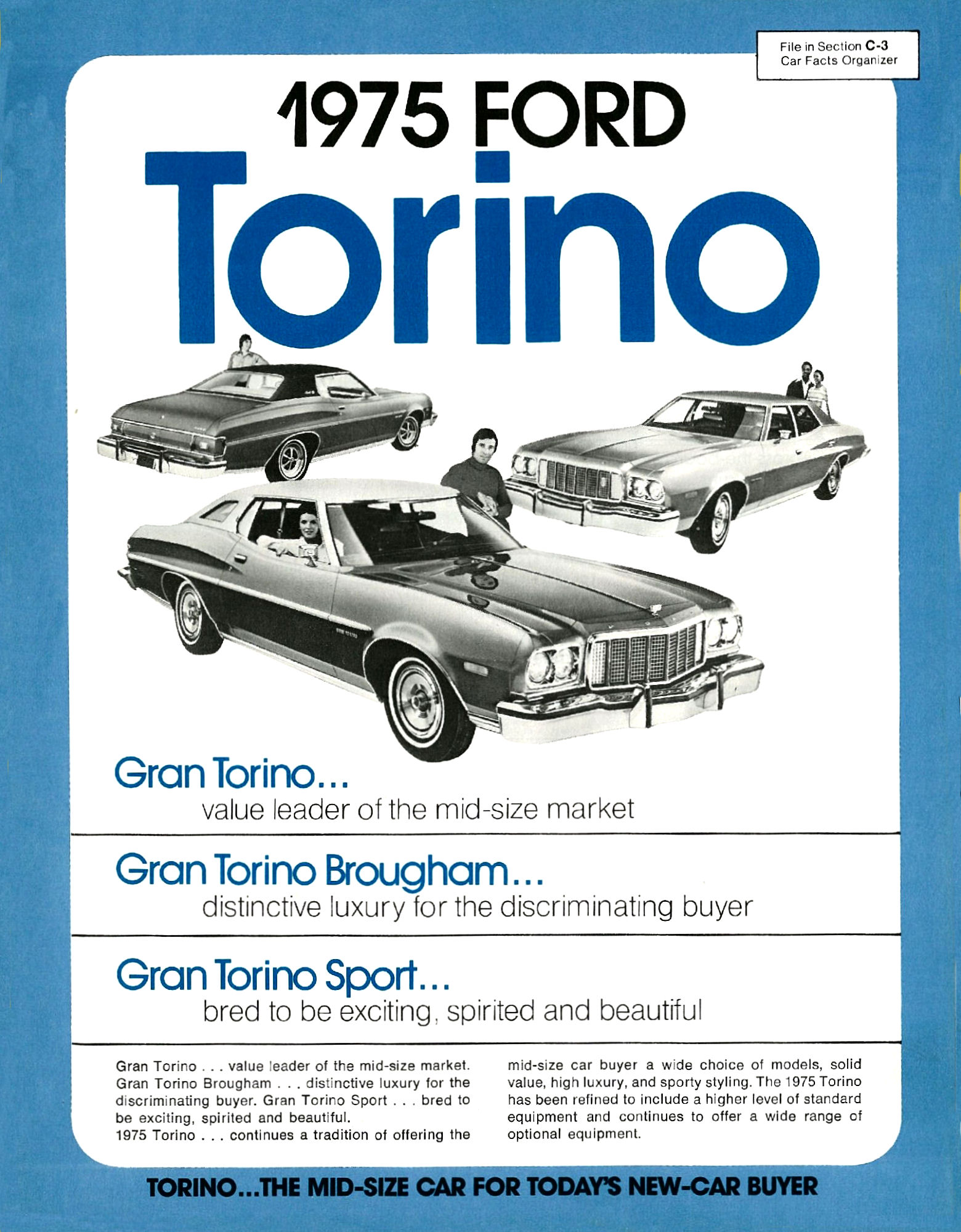 1975 Ford Torino Car Facts-01