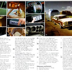 1977_Ford_LTD_II-15