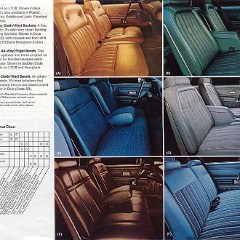 1978_Ford_LTD_II-09