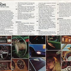 1978_Ford_LTD_II-10