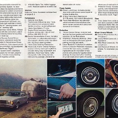 1978_Ford_LTD_II-11