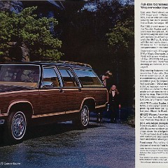 1980_Ford_Wagons-02