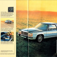 1981_Ford_LTD-04-05