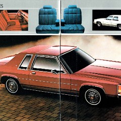 1982_Ford_LTD-08-09