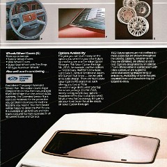 1982_Ford_Fairmont_Futura-11