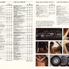1984_Ford_LTD-12-13