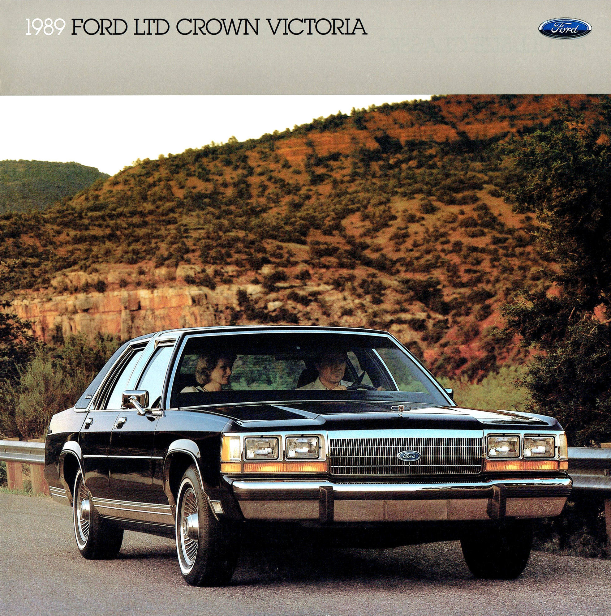 1989_Ford_LTD_Crown_Victoria-01