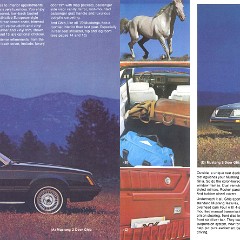 1979_Ford_Mustang-08-09