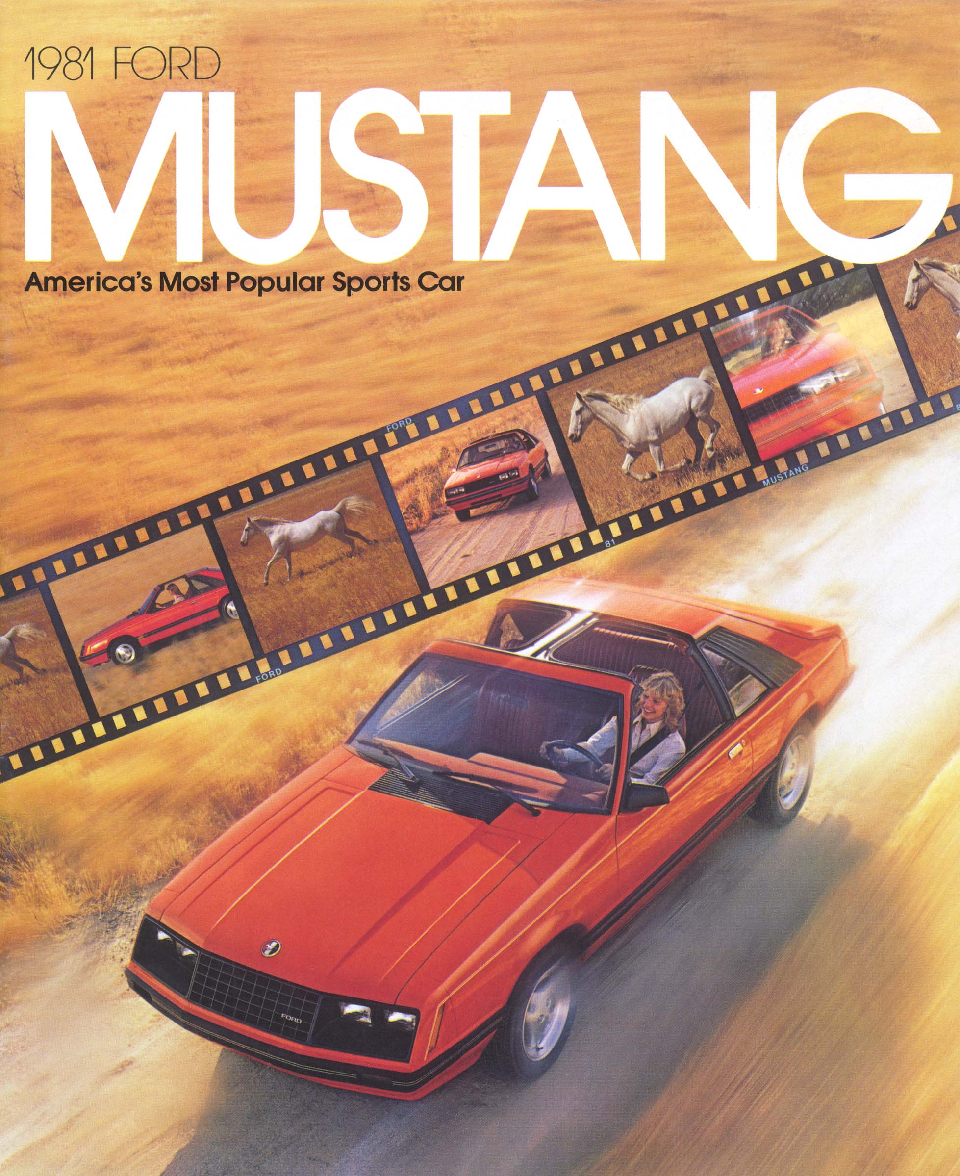 1981_Ford_Mustang_Rev1-01