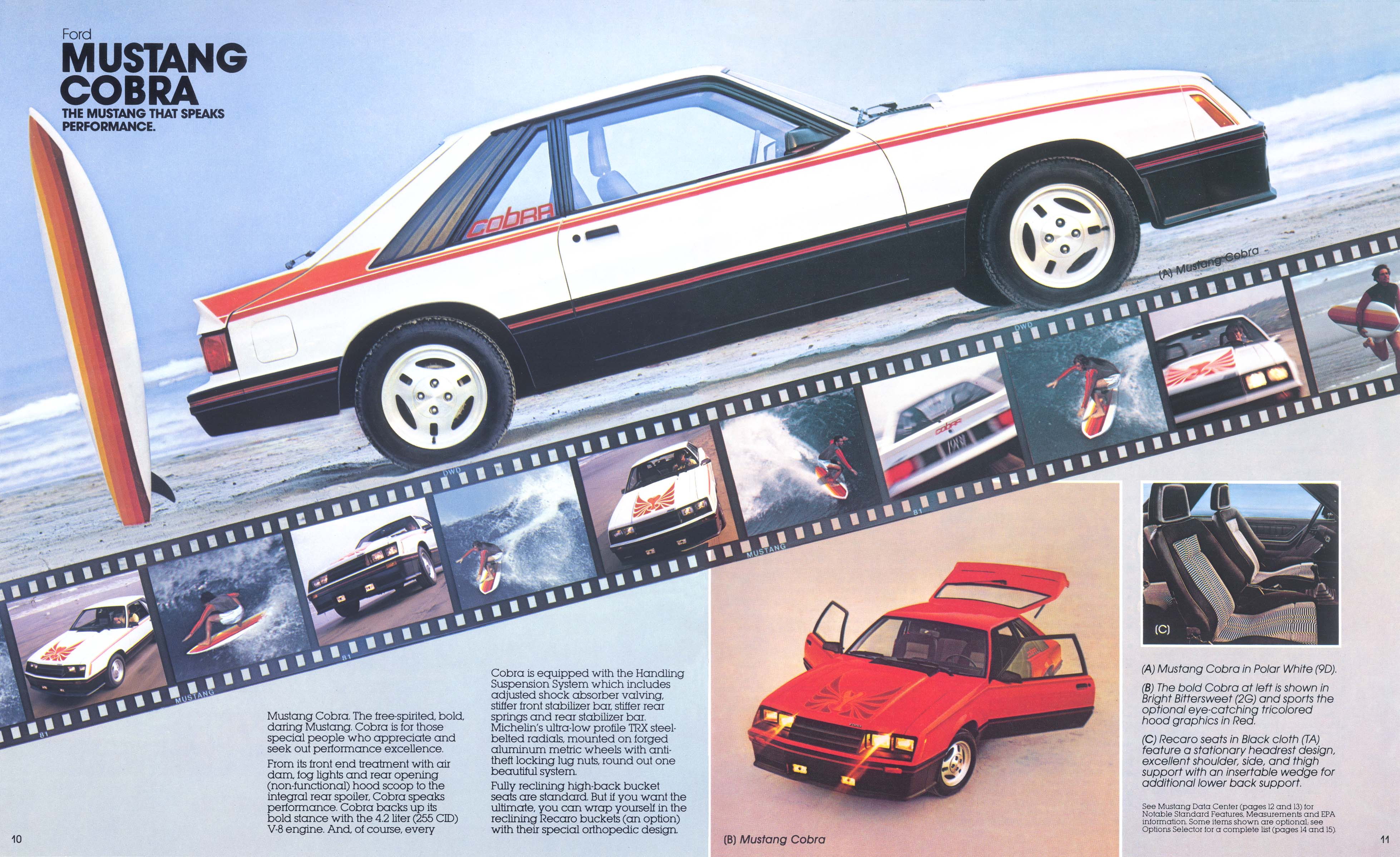 1981_Ford_Mustang_Rev1-10-11